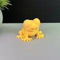 Mô hình chú ếch đáng yêu (Cute Frog) - Thumbnail 12