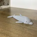 Dolphin - Mô hình cá heo bằng nhựa TPU - Thumbnail 2