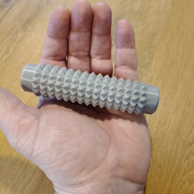 Con lăn có gai (Spiked hand roller)