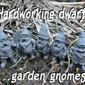Những chú lùn chăm chỉ, gnome trang trí sân vườn - Thumbnail 1