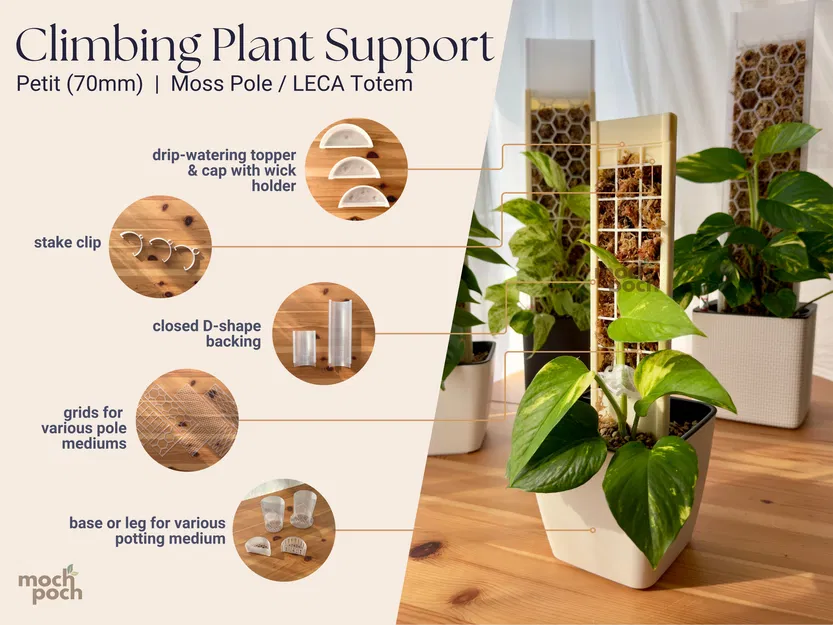 Moss Pole Petit (70mm) - Trụ leo cây thông minh - Image 2