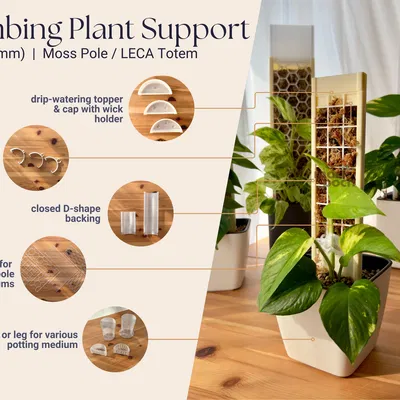 Moss Pole Petit (70mm) - Trụ leo cây thông minh