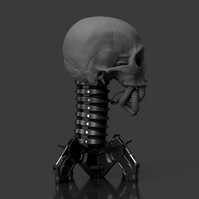 Giá treo tai nghe hình đầu lâu cơ khí Biomechanical