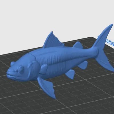 Mô hình Cá Chép (Carpa Fish) in 3D cực độc đáo