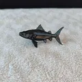 Mô hình Cá Chép (Carpa Fish) in 3D cực độc đáo - Thumbnail 4