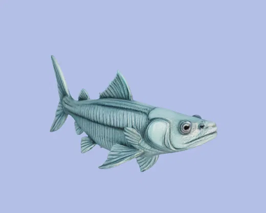 Mô hình Cá Chép (Carpa Fish) in 3D cực độc đáo - Image 5