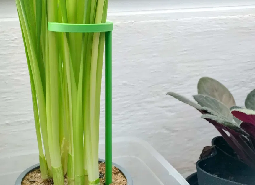 Cây chống đỡ hoa 3D (Flower Support) đơn giản, in không cần support - Image 1