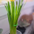 Cây chống đỡ hoa 3D (Flower Support) đơn giản, in không cần support - Thumbnail 3