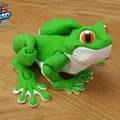 Chú Ếch Cây Khớp Nối (Articulated Tree Frog) - Mô hình in 3D không cần support - Thumbnail 8
