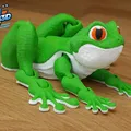 Chú Ếch Cây Khớp Nối (Articulated Tree Frog) - Mô hình in 3D không cần support - Thumbnail 10