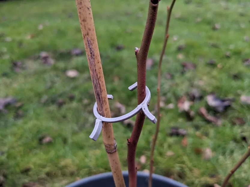 Kẹp giữ cây leo cho giàn - Image 1