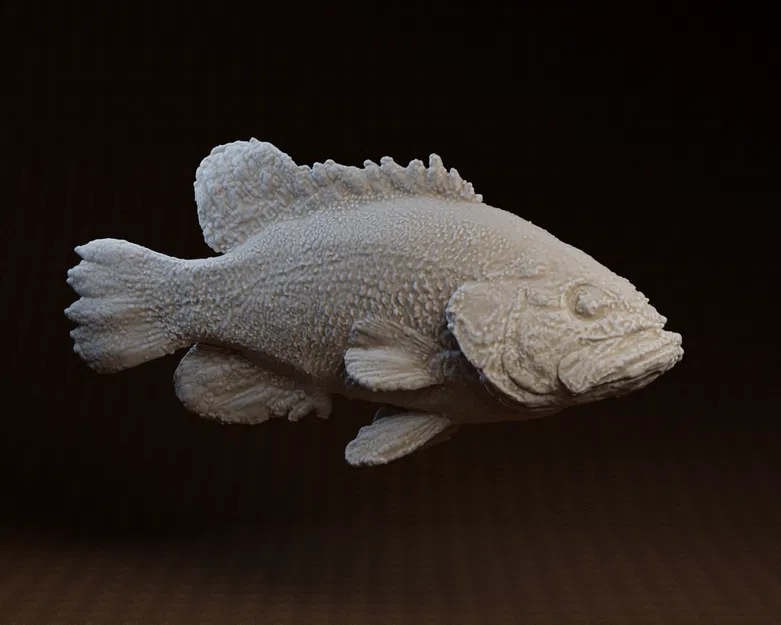 Core One Fish: Mẫu in 3D cá Coreoperca - Image 1