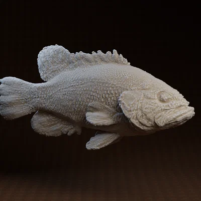 Core One Fish: Mẫu in 3D cá Coreoperca