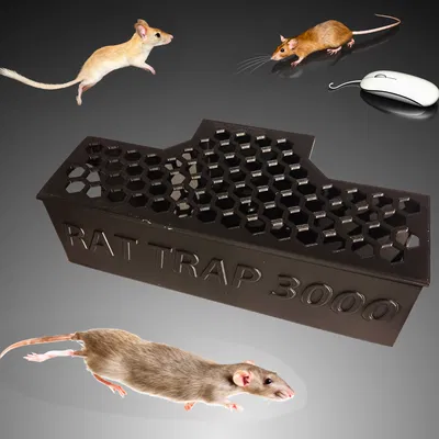 Hộp chứa bả chuột an toàn RAT Trap 3000 tự in 3D tiện lợi