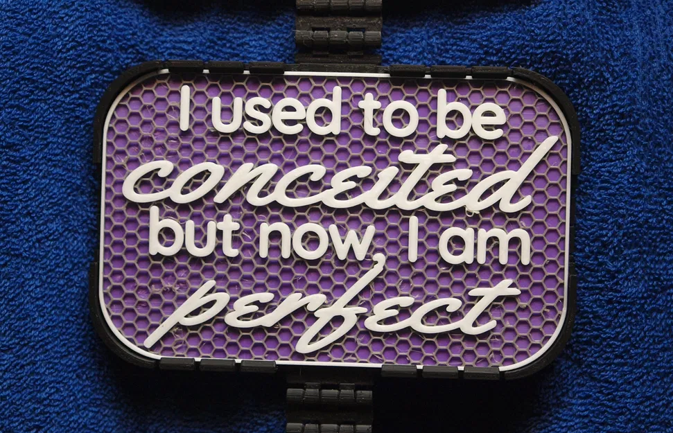 Bảng hiệu "I used to be Conceited but now I am Perfect" - Image 1