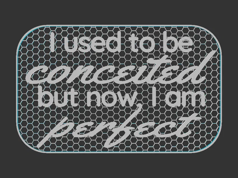 Bảng hiệu "I used to be Conceited but now I am Perfect" - Image 3