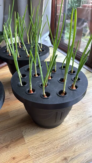 Dụng cụ trồng lại hành lá tại nhà | Mẫu in 3D đơn giản - Image 1