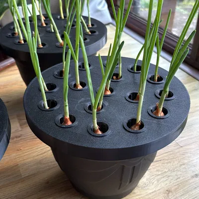 Dụng cụ trồng lại hành lá tại nhà | Mẫu in 3D đơn giản