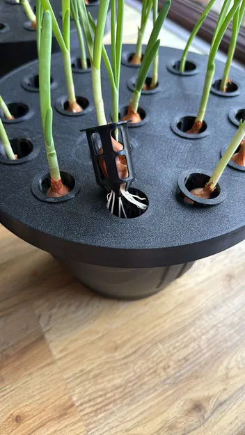 Dụng cụ trồng lại hành lá tại nhà | Mẫu in 3D đơn giản - Image 2