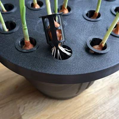 Dụng cụ trồng lại hành lá tại nhà | Mẫu in 3D đơn giản
