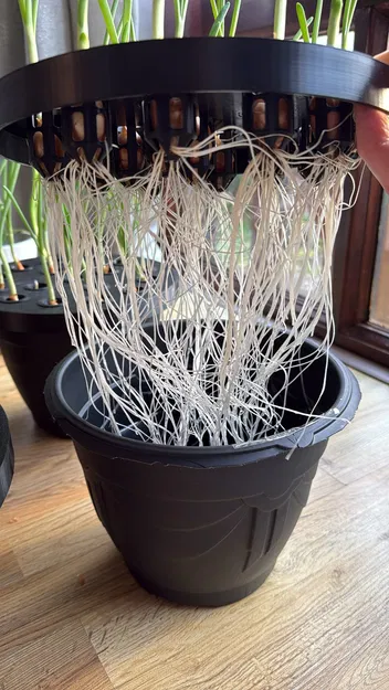 Dụng cụ trồng lại hành lá tại nhà | Mẫu in 3D đơn giản - Image 3