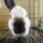 yogurts67_2970102