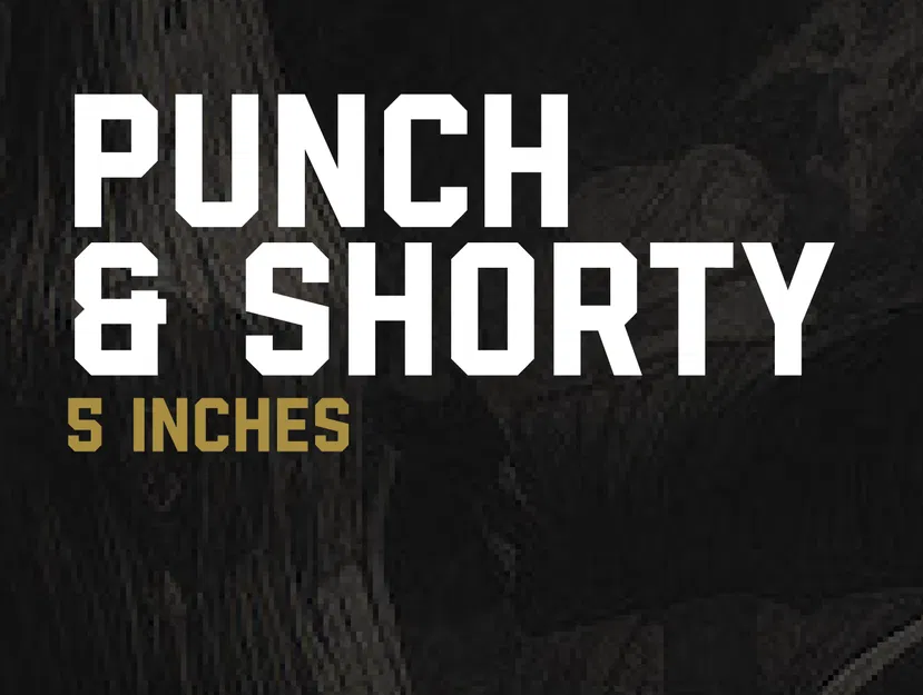 PUNCH & SHORTY - Trọn bộ linh kiện TPU cho Piratframes - Image 1