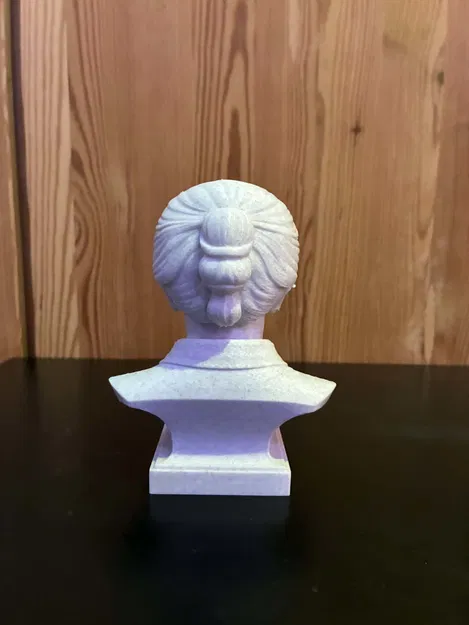 Tượng bán thân Simone (Annie Liline Jacob) Veil - Image 5