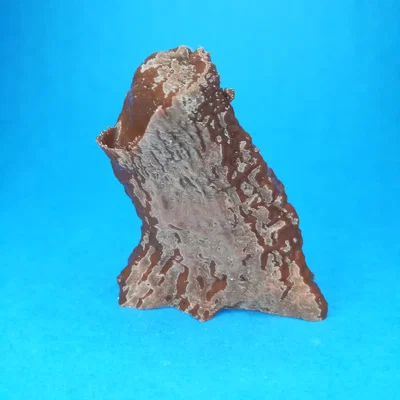 Mô hình thân cây Tree Trunk trang trí sa bàn D&D