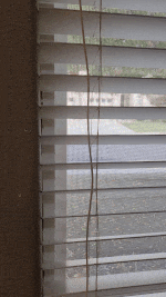 Điều khiển góc nghiêng mành sáo bằng Servo qua Home Assistant - Image 1