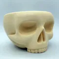 Skull Bowl - Khay đựng đồ hình đầu lâu trang trí 3D ấn tượng - Thumbnail 2