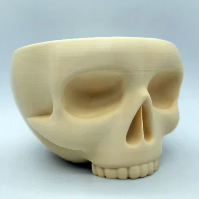 Skull Bowl - Khay đựng đồ hình đầu lâu trang trí 3D ấn tượng
