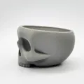 Skull Bowl - Khay đựng đồ hình đầu lâu trang trí 3D ấn tượng - Thumbnail 4