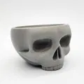Skull Bowl - Khay đựng đồ hình đầu lâu trang trí 3D ấn tượng - Thumbnail 7