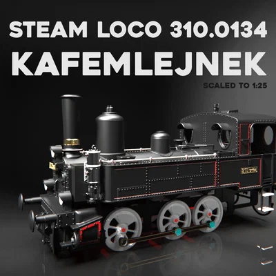 Đầu máy hơi nước 310.0134 (KAFEMLEJNEK / BABIČKA) [Tỷ lệ 1:25]