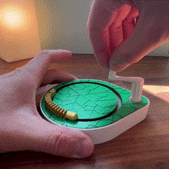 Mô hình Automaton Sâu Bướm Inchworm