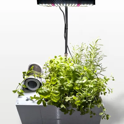 HydroForge - Trạm trồng cây thủy canh