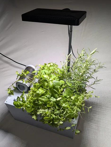 HydroForge - Trạm trồng cây thủy canh - Image 2