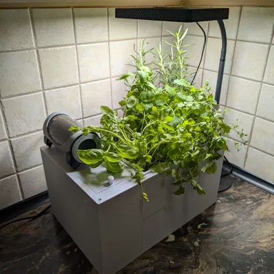 HydroForge - Trạm trồng cây thủy canh