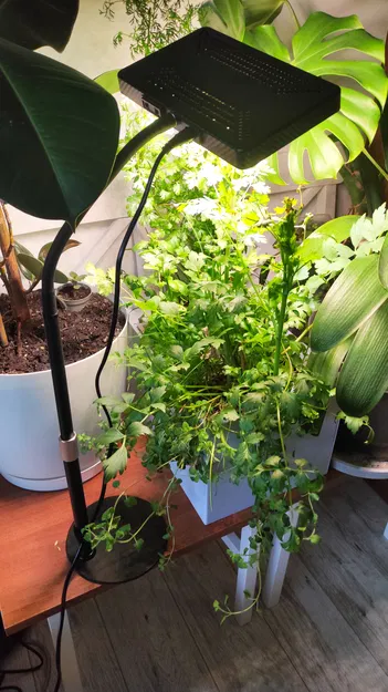 HydroForge - Trạm trồng cây thủy canh - Image 5