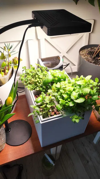 HydroForge - Trạm trồng cây thủy canh - Image 6