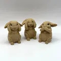 Bộ Ba Thỏ Siêu Đáng Yêu (Three Cute Bunnies) - Thumbnail 2