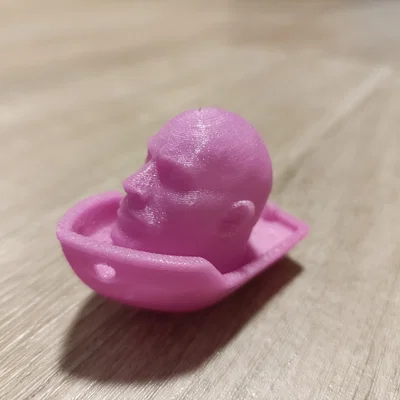 Mô hình The Rock Benchy độc đáo cho máy in 3D