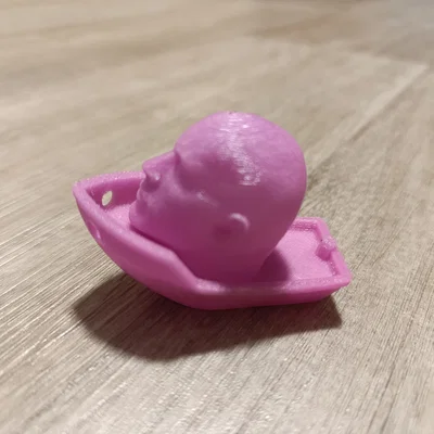 Mô hình The Rock Benchy độc đáo cho máy in 3D