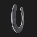 Móng ngựa (Horseshoe) mô phỏng chân thực từ vật mẫu thật - Thumbnail 4
