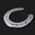 Móng ngựa (Horseshoe) mô phỏng chân thực từ vật mẫu thật - Thumbnail 6