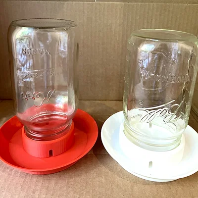 Dụng cụ cho gà uống nước (Chicken Waterer)