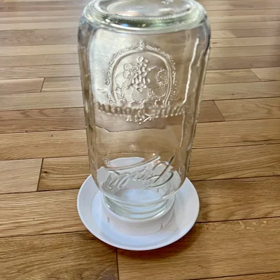 Dụng cụ cho gà uống nước (Chicken Waterer)