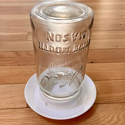 Dụng cụ cho gà uống nước (Chicken Waterer)