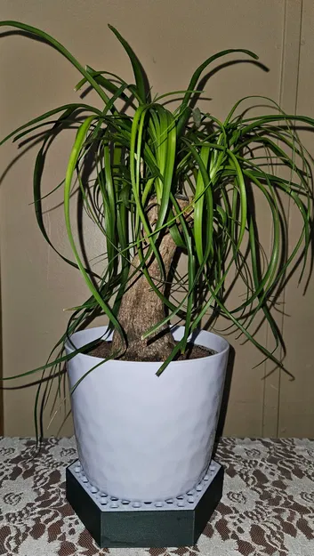 Khay Đá Giữ Ẩm Cho Cây (Humidity Pebble Tray) - Image 3